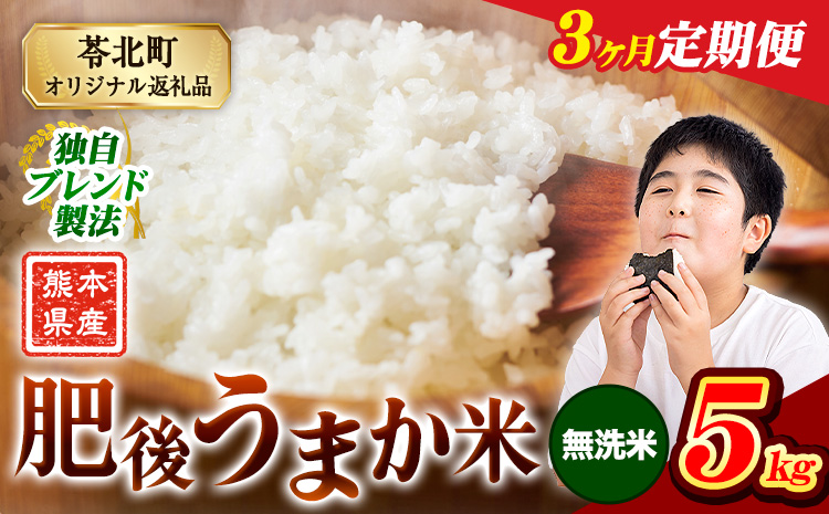 【3ヶ月定期便】 熊本県産 肥後うまか米 5kg 熊本県産 ふるさと納税 無洗米 精米 こめ ふるさとのうぜい コメ お米 おこめ ブレンド米《お申込み翌月から出荷》---reihoku_loc_474_mo3---