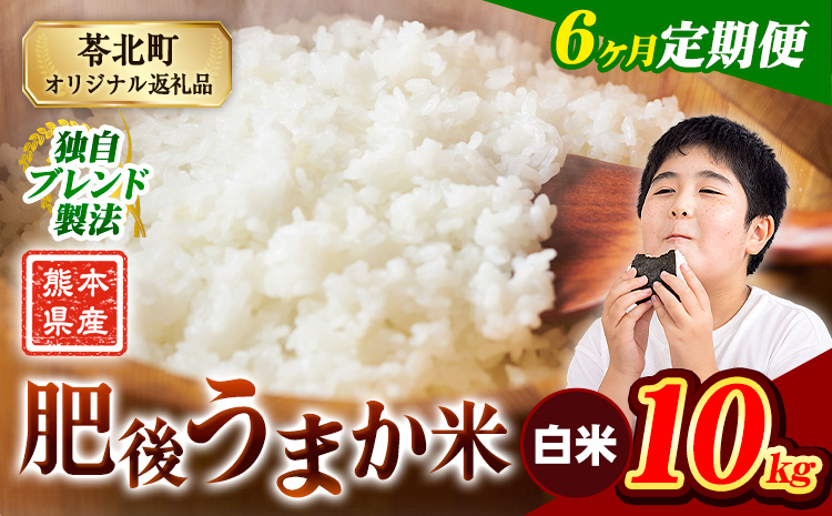 【6ヶ月定期便】 熊本県産 肥後うまか米 10kg 熊本県産 ふるさと納税 白米 精米 こめ ふるさとのうぜい コメ お米 おこめ ブレンド米《お申込み翌月から出荷》---reihoku_loc_481_mo6---