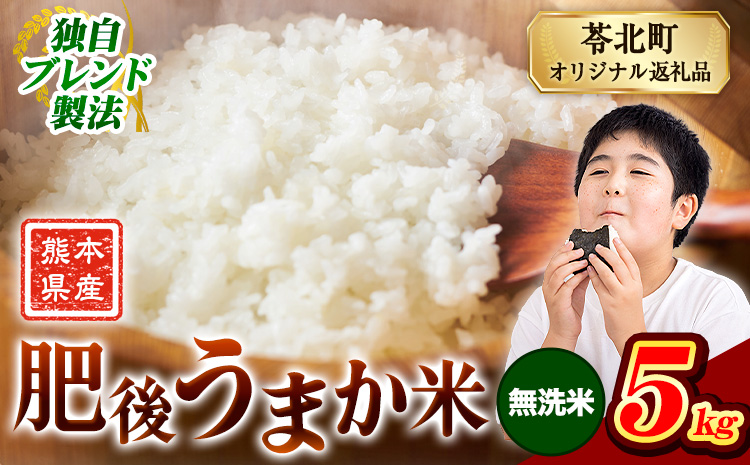 米 熊本県産 肥後うまか米 5kg 熊本県産 ふるさと納税 無洗米 精米 こめ ふるさとのうぜい コメ お米 おこめ ブレンド米《7-14日以内に出荷予定(土日祝除く)》---reihoku_loc_224_5kg---