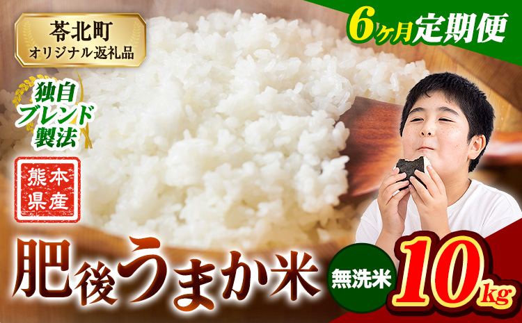 【6ヶ月定期便】 熊本県産 肥後うまか米 10kg 熊本県産 ふるさと納税 無洗米 精米 こめ ふるさとのうぜい コメ お米 おこめ ブレンド米《お申込み翌月から出荷》---reihoku_loc_482_mo6---