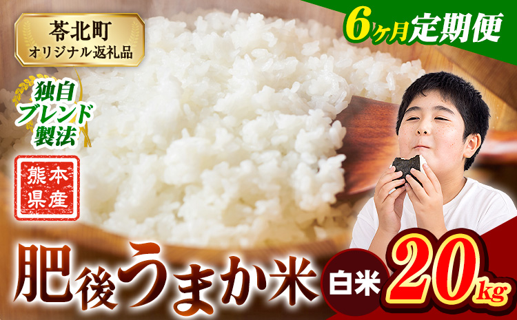 【6ヶ月定期便】米 熊本県産 肥後うまか米 20kg 熊本県産 ふるさと納税 白米 精米 こめ ふるさとのうぜい コメ お米 おこめ ブレンド米《お申込み翌月から出荷》---reihoku_loc_255_mo6---