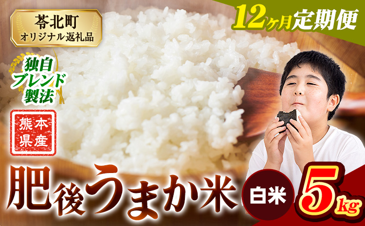 【12ヶ月定期便】熊本県産 肥後うまか米 5kg 熊本県産 ふるさと納税 白米 精米 こめ ふるさとのうぜい コメ お米 おこめ ブレンド米《お申込み翌月から出荷》---reihoku_loc_485_mo12---
