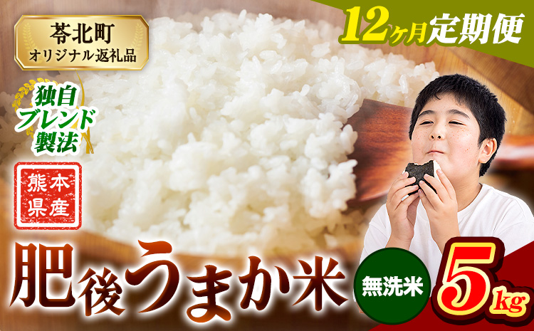 【12ヶ月定期便】熊本県産 肥後うまか米 5kg 熊本県産 ふるさと納税 無洗米 精米 こめ ふるさとのうぜい コメ お米 おこめ ブレンド米《お申込み翌月から出荷》---reihoku_loc_486_mo12---