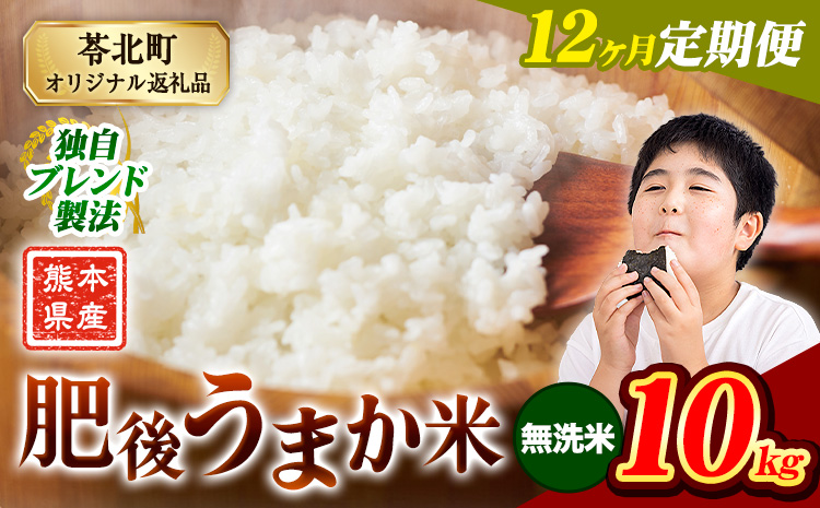 【12ヶ月定期便】米 熊本県産 肥後うまか米 10kg 熊本県産 ふるさと納税 無洗米 精米 こめ ふるさとのうぜい コメ お米 おこめ ブレンド米《お申込み翌月から出荷》---reihoku_loc_273_mo12---