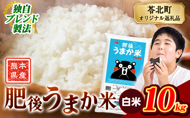 米 熊本県産 肥後うまか米 10kg 熊本県産 ふるさと納税 白米 精米 こめ ふるさとのうぜい コメ お米 おこめ ブレンド米《7-14日以内に出荷予定(土日祝除く)》---reihoku_loc_469_10kg---