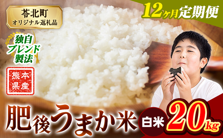 【12ヶ月定期便】米 熊本県産 肥後うまか米 20kg 熊本県産 ふるさと納税 白米 精米 こめ ふるさとのうぜい コメ お米 おこめ ブレンド米《お申込み翌月から出荷》---reihoku_loc_271_mo12---