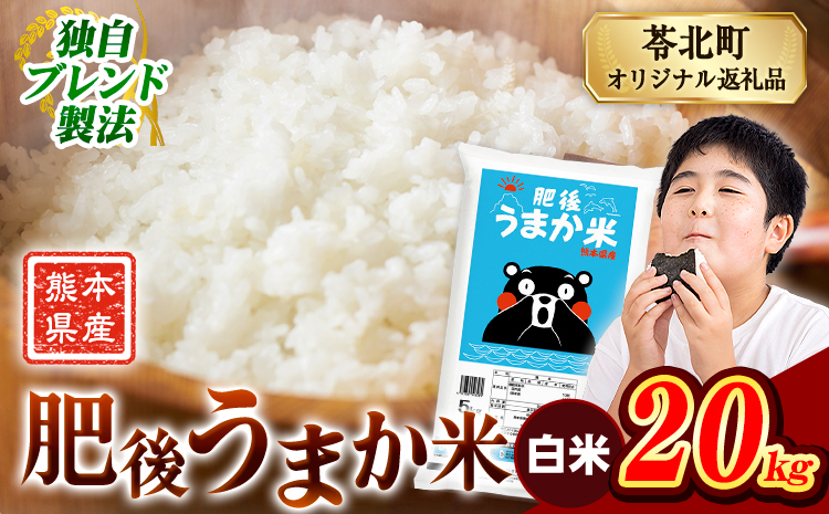 米 熊本県産 肥後うまか米 20kg 熊本県産 ふるさと納税 白米 精米 こめ ふるさとのうぜい コメ お米 おこめ ブレンド米《7-14日以内に出荷予定(土日祝除く)》---reihoku_loc_471_20kg---