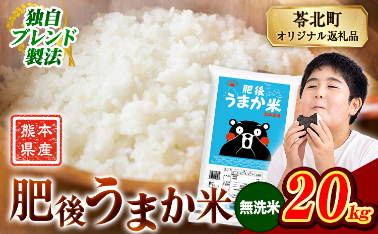 米 熊本県産 肥後うまか米 20kg 熊本県産 ふるさと納税 無洗米 精米 こめ ふるさとのうぜい コメ お米 おこめ ブレンド米《7-14日以内に出荷予定(土日祝除く)》---reihoku_loc_472_20kg---