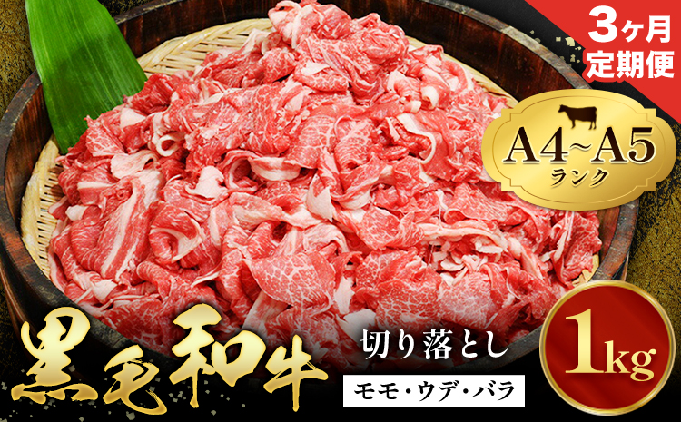【3ヶ月定期便】 黒毛和牛 切り落とし 小分け 1kg 定期便 A4～A5ランク 田中畜産 《お申込み月の翌月から出荷開始》 熊本県 苓北町 ミシュラン ビブグルマン 国産 肉 牛肉 黒毛 和牛 赤身 カレー 肉じゃが 牛丼 生姜焼き 炒めもの 煮込み 便利 使い勝手抜群 天草 産地直送---ac01r605_2---