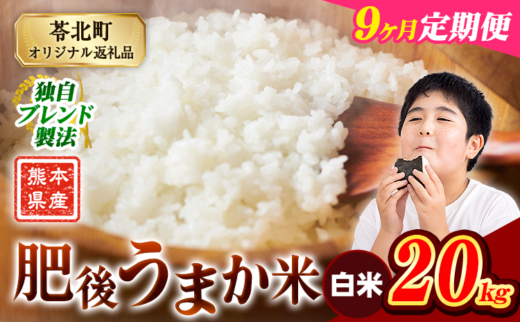 【9ヶ月定期便】米  熊本県産 肥後うまか米 20kg 白米 精米 こめ コメ お米 おこめ ブレンド米《申込月の翌月から出荷開始》熊本県産 コメ お米 おこめ---reihoku_loc_263_mo9---