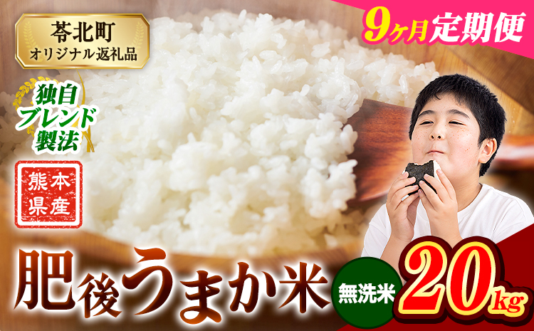 【9ヶ月定期便】米  熊本県産 肥後うまか米 20kg 無洗米 精米 こめ コメ お米 おこめ ブレンド米《申込月の翌月から出荷開始》熊本県産 コメ お米 おこめ---reihoku_loc_267_mo9---