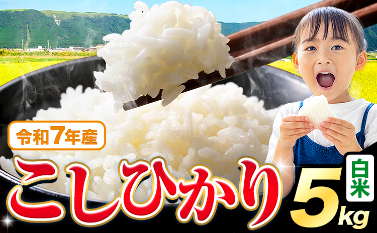 令和7年産 米 白米 こしひかり 5kg《7-14日以内に出荷予定(土日祝除く)》熊本県産 ふるさと納税 白米 精米 ひの 米 こめ ふるさとのうぜい コシヒカリ コメ お米 おこめ---reihoku_loc_437_5kg---