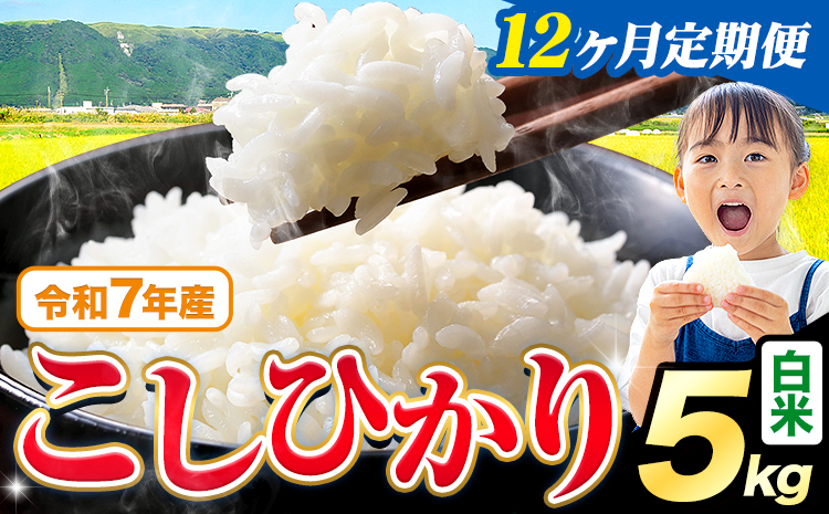 【12ヶ月定期便】令和7年産 白米 こしひかり 5kg《お申込み翌月から出荷》熊本県産 ふるさと納税 白米 精米 ひの 米 こめ ふるさとのうぜい コシヒカリ コメ お米 おこめ---reihoku_loc_455_mo12---