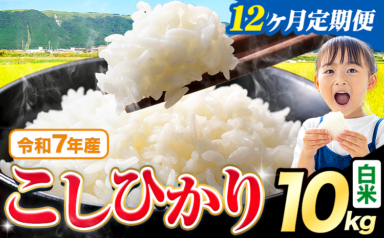 【12ヶ月定期便】令和7年産 白米 こしひかり 10kg《お申込み翌月から出荷》熊本県産 ふるさと納税 白米 精米 ひの 米 こめ ふるさとのうぜい コシヒカリ コメ お米 おこめ---reihoku_loc_341_mo12---