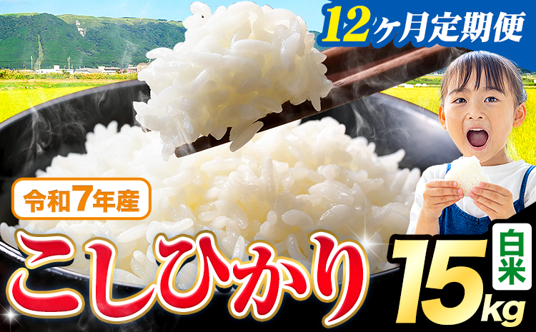 【12ヶ月定期便】令和7年産 白米 こしひかり 15kg《お申込み翌月から出荷》熊本県産 ふるさと納税 白米 精米 ひの 米 こめ ふるさとのうぜい コシヒカリ コメ お米 おこめ---reihoku_loc_342_mo12---
