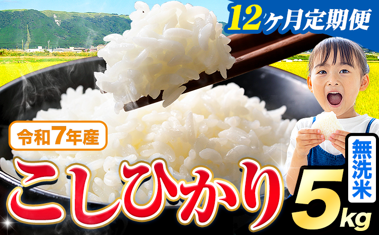 【12ヶ月定期便】令和7年産 無洗米 こしひかり 5kg《お申込み翌月から出荷》熊本県産 ふるさと納税 無洗米 ひの 米 こめ ふるさとのうぜい コシヒカリ コメ お米 おこめ---reihoku_loc_456_mo12---