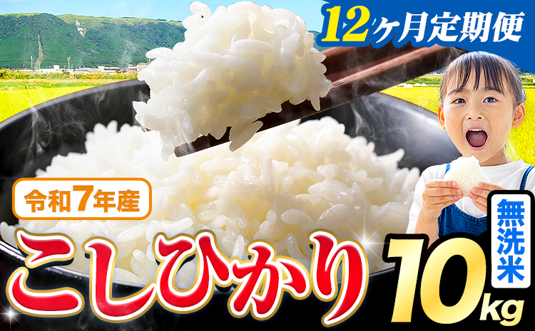【12ヶ月定期便】令和7年産 無洗米 こしひかり 10kg《お申込み翌月から出荷》熊本県産 ふるさと納税 無洗米 ひの 米 こめ ふるさとのうぜい コシヒカリ コメ お米 おこめ---reihoku_loc_345_mo12---