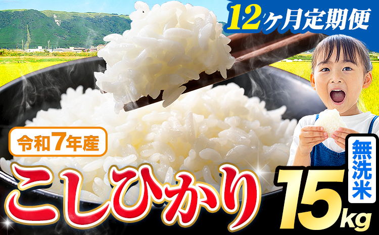 【12ヶ月定期便】令和7年産 無洗米 こしひかり 15kg《お申込み翌月から出荷》熊本県産 ふるさと納税 無洗米 ひの 米 こめ ふるさとのうぜい コシヒカリ コメ お米 おこめ---reihoku_loc_346_mo12---
