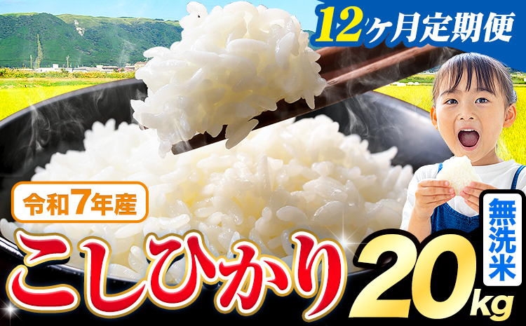 【12ヶ月定期便】令和7年産 無洗米 こしひかり 20kg《お申込み翌月から出荷》熊本県産 ふるさと納税 無洗米 ひの 米 こめ ふるさとのうぜい コシヒカリ コメ お米 おこめ---reihoku_loc_347_mo12---