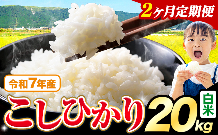 【2ヶ月定期便】令和7年産 白米 こしひかり 20kg《お申込みの翌月出荷》熊本県産 ふるさと納税 白米 精米 ひの 米 こめ ふるさとのうぜい コシヒカリ コメ お米 おこめ---reihoku_loc_311_mo2---