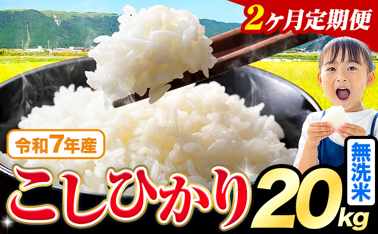 【2ヶ月定期便】令和7年産 無洗米 こしひかり 20kg《お申込みの翌月出荷》熊本県産 ふるさと納税 無洗米 ひの 米 こめ ふるさとのうぜい コシヒカリ コメ お米 おこめ---reihoku_loc_315_mo2---