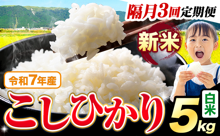 【隔月3回定期便】令和7年産 新米 白米 こしひかり 5kg《お申込みの翌月出荷》熊本県産 ふるさと納税 白米 精米 ひの 米 こめ ふるさとのうぜい コシヒカリ コメ お米 おこめ---reihoku_loc_348_ev2mo3---