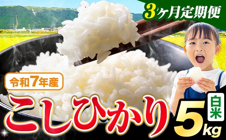 【3ヶ月定期便】令和7年産 米 白米 こしひかり 5kg《お申込み翌月から出荷》熊本県産 ふるさと納税 白米 精米 ひの 米 こめ ふるさとのうぜい コシヒカリ コメ お米 おこめ---reihoku_loc_443_mo3---