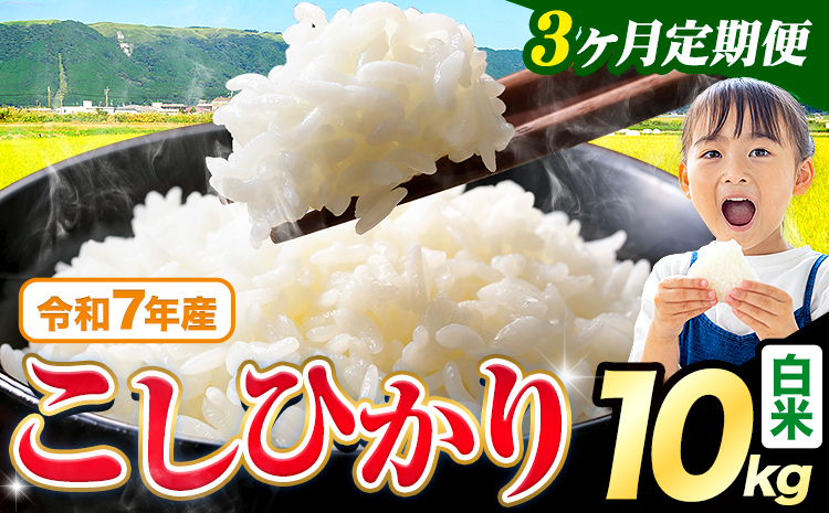 【3ヶ月定期便】令和7年産 白米 こしひかり 10kg《お申込み翌月から出荷》熊本県産 ふるさと納税 白米 精米 ひの 米 こめ ふるさとのうぜい コシヒカリ コメ お米 おこめ---reihoku_loc_317_mo3---