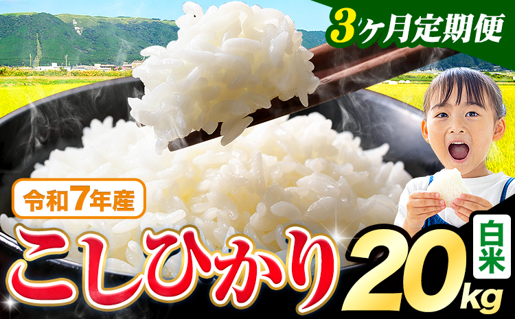 【3ヶ月定期便】令和7年産 米 白米 こしひかり 20kg《お申込み翌月から出荷》熊本県産 ふるさと納税 白米 精米 ひの 米 こめ ふるさとのうぜい コシヒカリ コメ お米 おこめ---reihoku_loc_447_mo3---