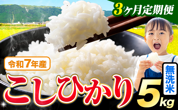 【3ヶ月定期便】令和7年産 米 無洗米 こしひかり 5kg《お申込み翌月から出荷》熊本県産 ふるさと納税 無洗米 ひの 米 こめ ふるさとのうぜい コシヒカリ コメ お米 おこめ---reihoku_loc_444_mo3---
