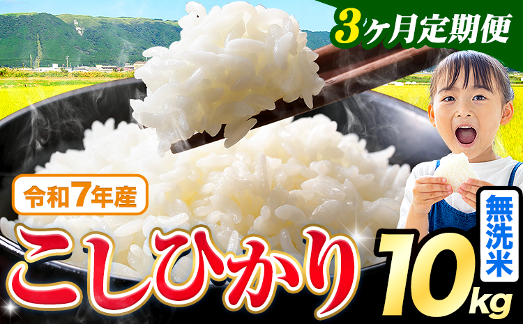 【3ヶ月定期便】令和7年産 無洗米 こしひかり 10kg《お申込み翌月から出荷》熊本県産 ふるさと納税 無洗米 ひの 米 こめ ふるさとのうぜい コシヒカリ コメ お米 おこめ---reihoku_loc_321_mo3---