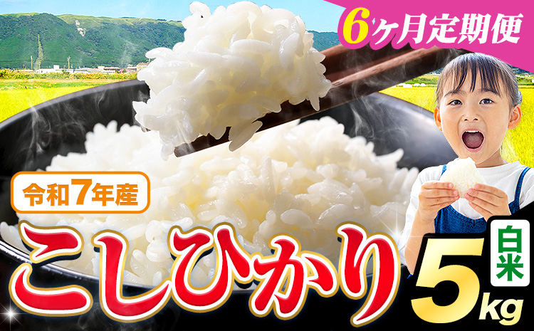 【6ヶ月定期便】令和7年産 白米 こしひかり 5kg《お申込み翌月から出荷》熊本県産 ふるさと納税 白米 精米 ひの 米 こめ ふるさとのうぜい コシヒカリ コメ お米 おこめ---reihoku_loc_324_mo6---