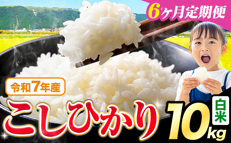 【6ヶ月定期便】令和7年産 米 白米 こしひかり 10kg《お申込み翌月から出荷》熊本県産 ふるさと納税 白米 精米 ひの 米 こめ ふるさとのうぜい コシヒカリ コメ お米 おこめ---reihoku_loc_451_mo6---