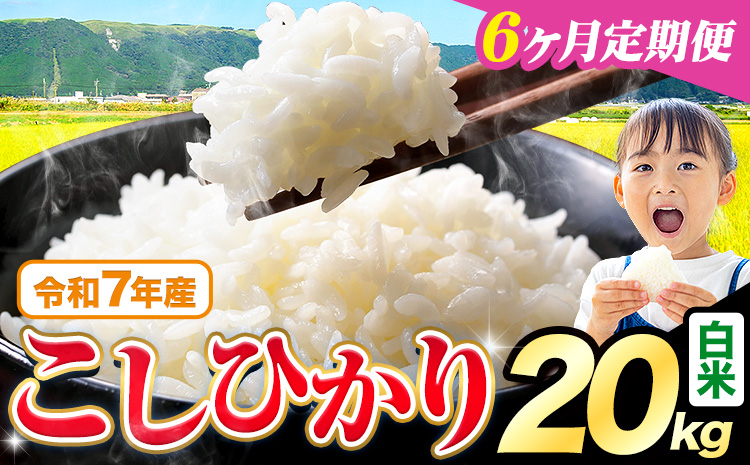 【6ヶ月定期便】令和7年産 米 白米 こしひかり 20kg《お申込み翌月から出荷》熊本県産 ふるさと納税 白米 精米 ひの 米 こめ ふるさとのうぜい コシヒカリ コメ お米 おこめ---reihoku_loc_453_mo6---