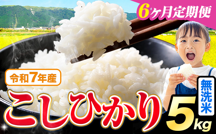【6ヶ月定期便】令和7年産 無洗米 こしひかり 5kg《お申込み翌月から出荷》熊本県産 ふるさと納税 無洗米 ひの 米 こめ ふるさとのうぜい コシヒカリ コメ お米 おこめ---reihoku_loc_328_mo6---