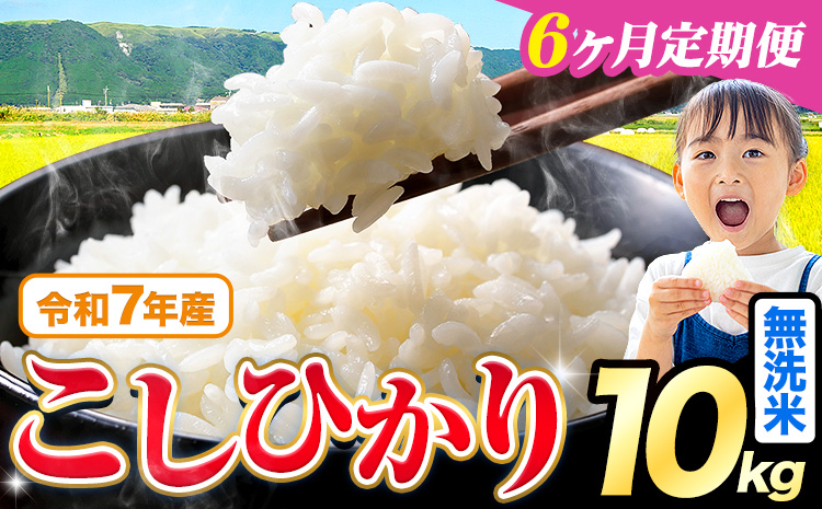 【6ヶ月定期便】令和7年産 米 無洗米 こしひかり 10kg《お申込み翌月から出荷》熊本県産 ふるさと納税 無洗米 ひの 米 こめ ふるさとのうぜい コシヒカリ コメ お米 おこめ---reihoku_loc_452_mo6---