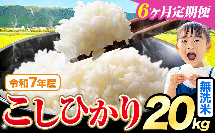 【6ヶ月定期便】令和7年産 米 無洗米 こしひかり 20kg《お申込み翌月から出荷》熊本県産 ふるさと納税 無洗米 ひの 米 こめ ふるさとのうぜい コシヒカリ コメ お米 おこめ---reihoku_loc_454_mo6---