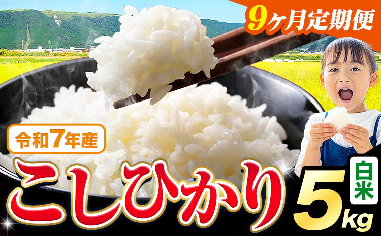 【9ヶ月定期便】令和7年産 白米 こしひかり 5kg《お申込みの翌月出荷》熊本県産 ふるさと納税 白米 精米 ひの 米 こめ ふるさとのうぜい コシヒカリ コメ お米 おこめ---reihoku_loc_332_mo9---