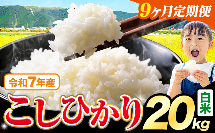 【9ヶ月定期便】令和7年産 白米 こしひかり 20kg《お申込みの翌月出荷》熊本県産 ふるさと納税 白米 精米 ひの 米 こめ ふるさとのうぜい コシヒカリ コメ お米 おこめ---reihoku_loc_335_mo9---