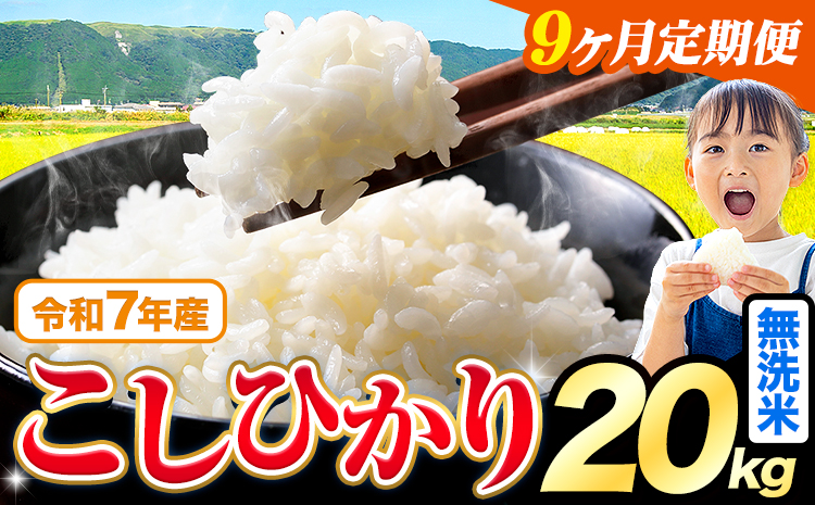 【9ヶ月定期便】令和7年産 無洗米 こしひかり 20kg《お申込みの翌月出荷》熊本県産 ふるさと納税 無洗米 ひの 米 こめ ふるさとのうぜい コシヒカリ コメ お米 おこめ---reihoku_loc_339_mo9---
