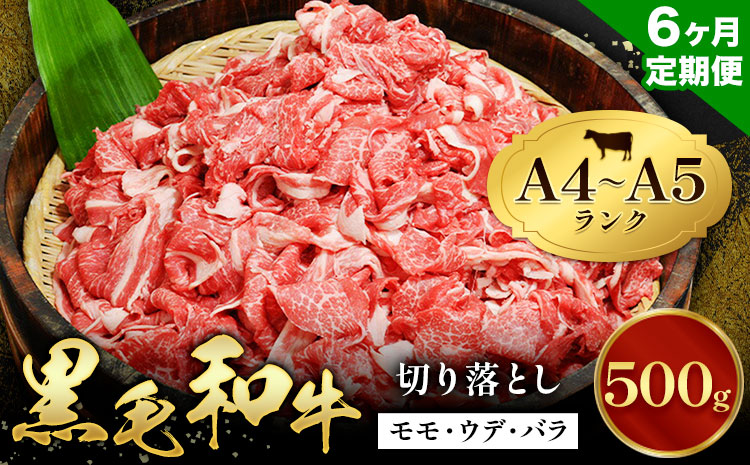 【6ヶ月定期便】牛肉 黒毛和牛 切り落とし 小分け 500g A4 A5 田中畜産 《お申込み月の翌月から出荷》 熊本県 苓北町 ミシュラン ビブグルマン 国産 肉 黒毛 和牛 赤身 カレー 肉じゃが 牛丼 煮込み 便利 使い勝手抜群 天草 産地直送---reihoku_tnt_8_500gmo6---
