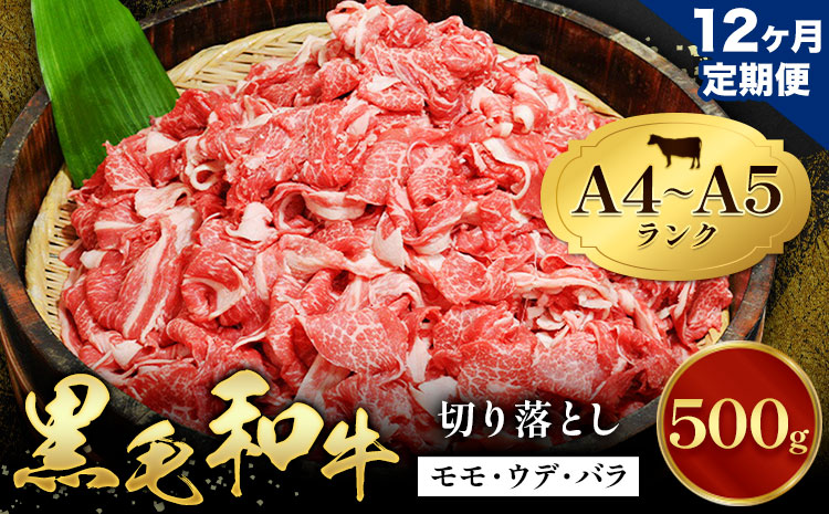 【12ヶ月定期便】牛肉 黒毛和牛 切り落とし 小分け 500g A4 A5 田中畜産 《お申込み月の翌月から出荷》 熊本県 苓北町 ミシュラン ビブグルマン 国産 肉 黒毛 和牛 赤身 カレー 肉じゃが 牛丼 煮込み 便利 使い勝手抜群 天草 産地直送---reihoku_tnt_9_500gmo12---