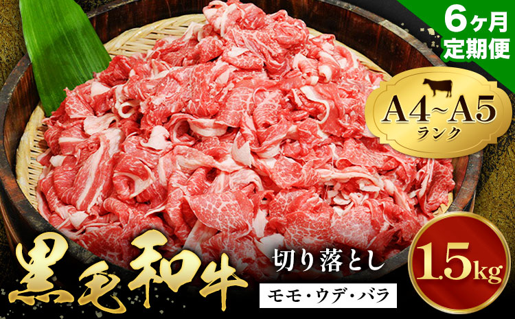【6ヶ月定期便】牛肉 黒毛和牛 切り落とし 小分け 1.5kg A4 A5 田中畜産 《お申込み月の翌月から出荷》 熊本県 苓北町 ミシュラン ビブグルマン 国産 肉 黒毛 和牛 赤身 カレー 肉じゃが 牛丼 煮込み 便利 使い勝手抜群 天草 産地直送---reihoku_tnt_12_1500gmo6---