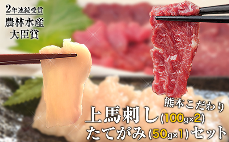 上赤身馬刺し200g+たてがみ50gセット《90日以内に出荷予定(土日祝除く)》馬刺し ブロック 国産 熊本肥育 冷凍 生食用 たれ付き 上赤身馬刺し100g×2 ＋たてがみセット50g  肉 絶品 牛肉よりヘルシー 馬肉 予約 平成27年28年 農林水産大臣賞受賞 熊本県 苓北町---reihoku_loc_429_300g---