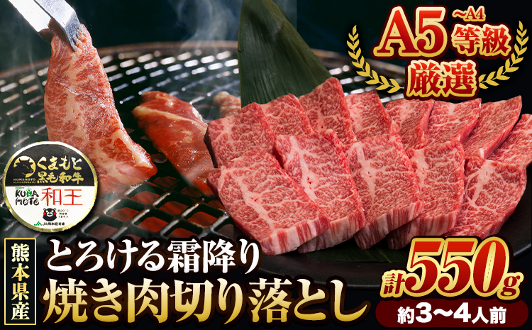くまもと黒毛和牛 和王 バラ 霜降り 焼肉切り落とし 550g A5 A4 等級《30日以内に出荷予定(土日祝除く)》熊本県 苓北町 黒毛和牛 牛肉 冷凍 個別 取分け 小分け チャック付き バラ凍結 肉 お肉 焼き肉 焼き肉用---rh_fwow_30d_r7_12000_550g---