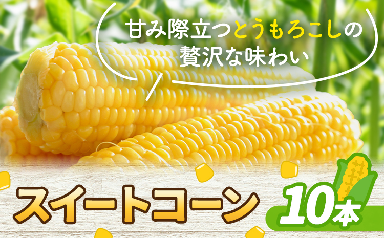 とうもろこし スイートコーン 10本 髙橋商店[2026年5月中旬-6月下旬頃出荷]熊本県 苓北町 野菜 コーン 玉蜀黍 コーンバター 焼きとうもろこし コーンスープ---reihoku_ths_6_10p---