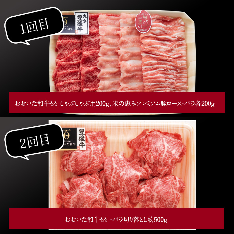 【定期便】大分県産黒毛和牛（おおいた和牛）・米の恵みプレミアム豚 バラエティ定期便 毎月6回お届け