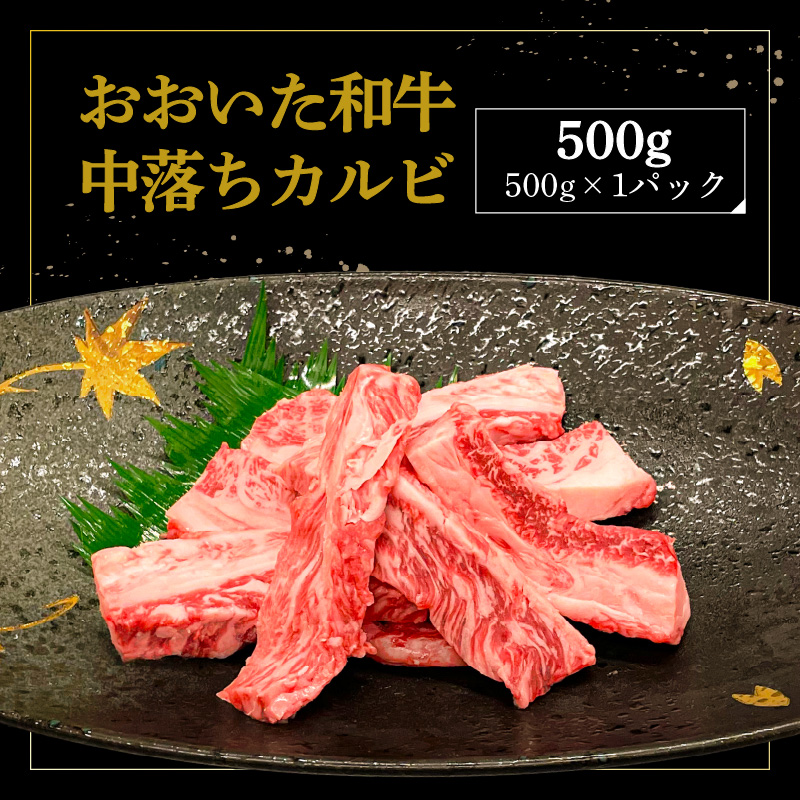 厳選A4～A5等級 おおいた和牛 中落ちカルビ 500g