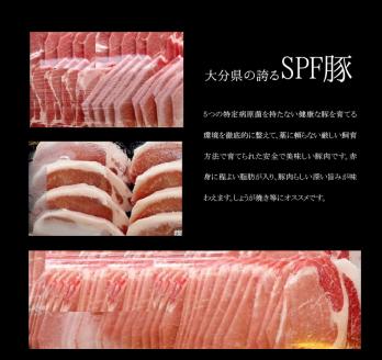 大分県産豚肉セット約2.1kg＋大葉胡椒約40g