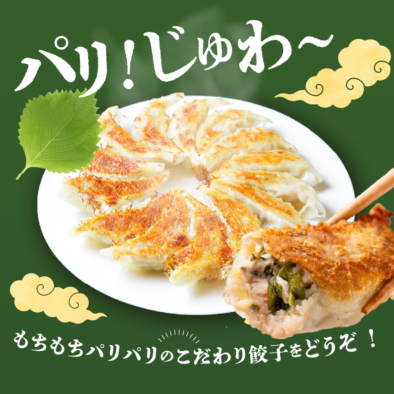 餃子専門店の餃子 しそ餃子 54個入り